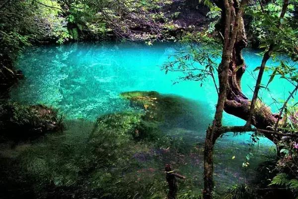 五一带你去哪里旅游比较好（这5个最适合旅居的地方）(55)