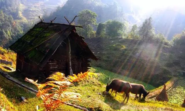 五一带你去哪里旅游比较好（这5个最适合旅居的地方）(28)