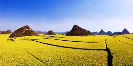 五一带你去哪里旅游比较好（这5个最适合旅居的地方）(18)