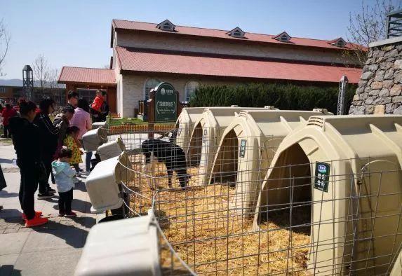 石家庄旅游必去的十大地方推荐（石家庄最值得去的50个地方）(9)