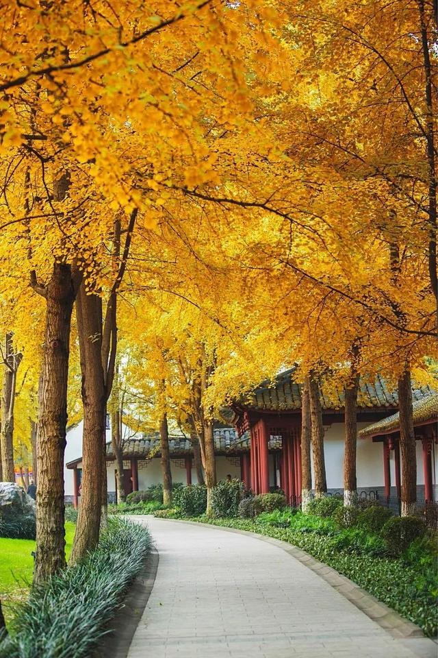 最美高铁线路旅游攻略（国内首条旅游高铁来了）(9)