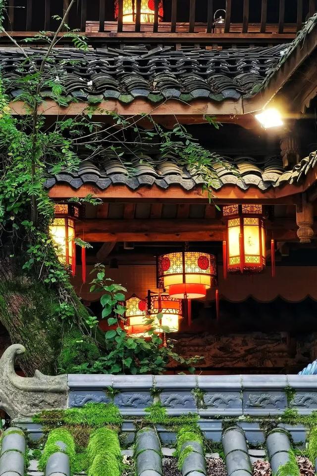 最美高铁线路旅游攻略（国内首条旅游高铁来了）(14)