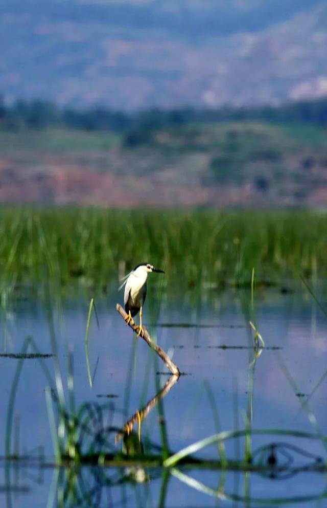 最美高铁线路旅游攻略（国内首条旅游高铁来了）(35)