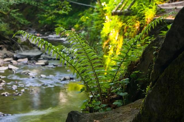 最美高铁线路旅游攻略（国内首条旅游高铁来了）(25)
