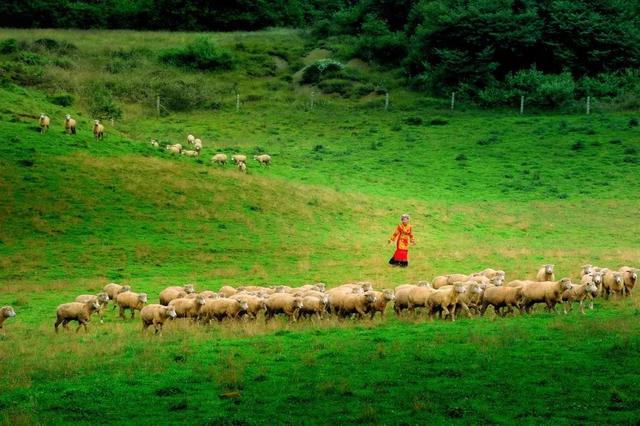 最美高铁线路旅游攻略（国内首条旅游高铁来了）(36)