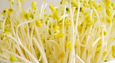 绿豆的生长过程,绿豆苗的生长过程记录图6