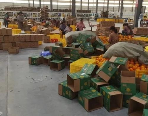 大名鼎鼎的意思中鼎的意思(大名鼎鼎的意思和造句)-第2张图片-