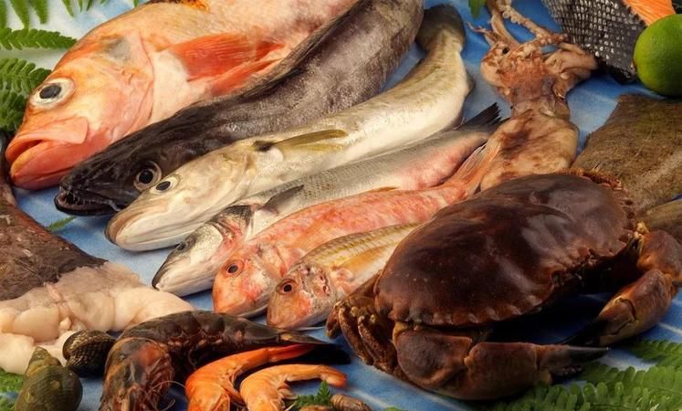 什么食物含重金属含量较高