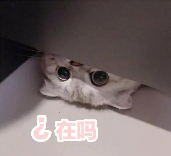 明人不说暗话，我也想摸一下刘亦菲的美背