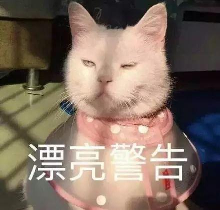 明人不说暗话，我也想摸一下刘亦菲的美背