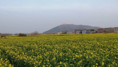 ​永年县志(摘 大事记(摘)中华人民共和国时期(1949年10月一一1951年