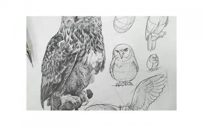 ​什么是入珠 入珠怎么做