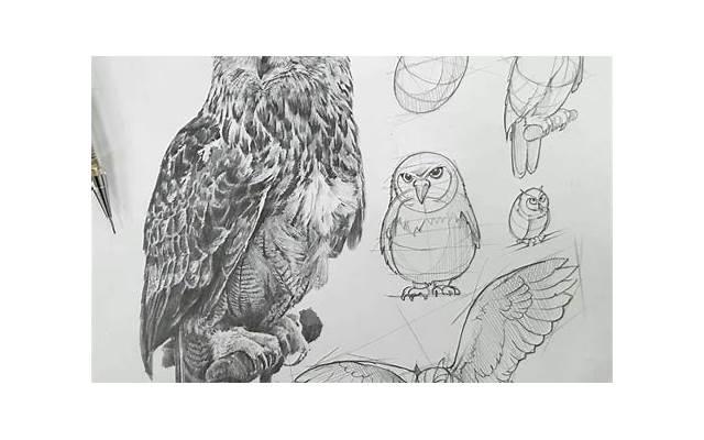 什么是入珠 入珠怎么做