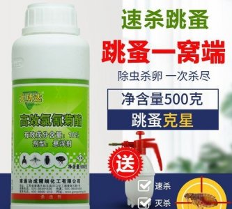 ​杀虫剂对跳蚤有用吗，杀虫剂喷对跳蚤有效吗？