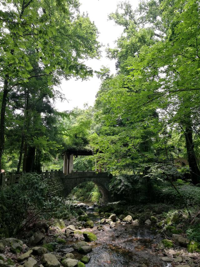 天目山旅游攻略一天游（皖南浙北逛两天之三）(12)