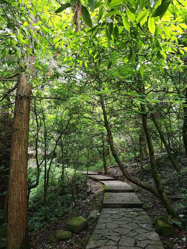 天目山旅游攻略一天游（皖南浙北逛两天之三）(2)