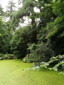 ​天目山旅游攻略一天游（皖南浙北逛两天之三）