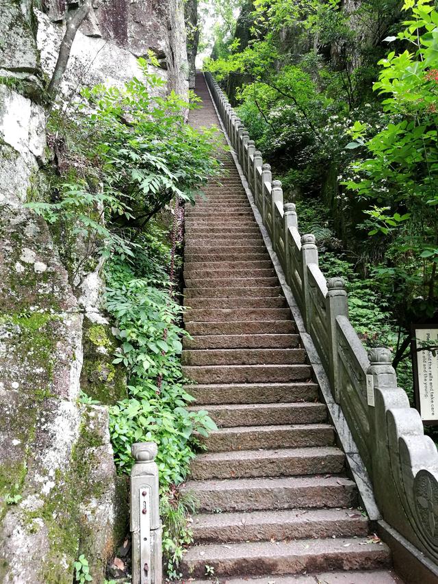 天目山旅游攻略一天游（皖南浙北逛两天之三）(10)