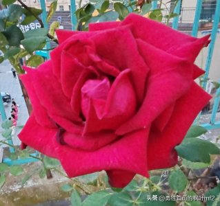 ​“10条读心术，身边是人是鬼，一眼就看清”