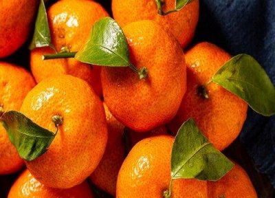 ​桔子在零下3度会冻吗