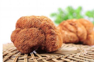 ​什么是猴头菌呢 猴头菌有什么营养价值呢