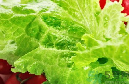 生菜怎么清洗?生菜怎么洗干净?