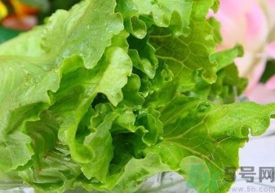 ​生菜怎么清洗?生菜怎么洗干净?