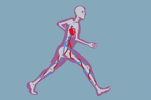 走路脚底板疼怎么回事？走路脚底板疼挂什么科-第1张图片-