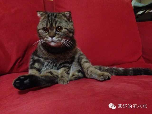 爱斯基摩人的生活习惯是什么（冰雪之原下涌动的奇幻故事）(2)