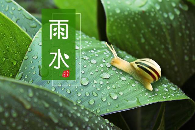 雨水代表的是哪个季节（雨水有哪些含义）