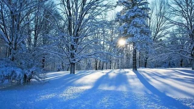 有哪些下雪天发朋友圈的精美句子图2