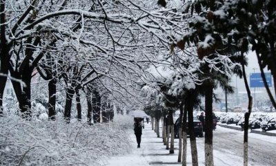 ​有哪些下雪天发朋友圈的精美句子