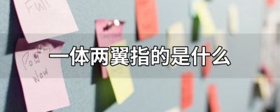 ​一体两翼指的是什么