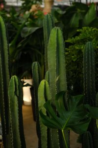 ​量天尺如何过冬