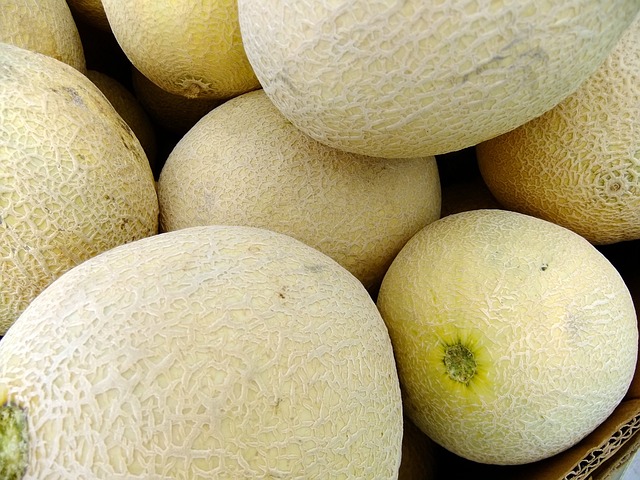 melons-65652_640.jpg