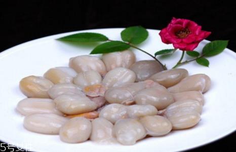 墨鱼蛋能吃吗 哪些人不能吃墨鱼蛋