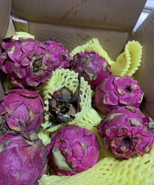 火龙果里的黑籽是什么