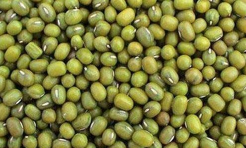 绿豆能放多久,绿豆能放多久图2