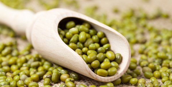 绿豆能放多久,绿豆能放多久图3