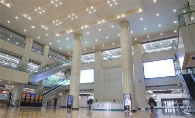 ​大体老师是什么 大体老师有什么意义