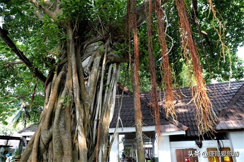 马尔代夫 卡尼岛