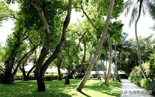 马尔代夫 卡尼岛