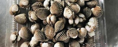 ​爆炒花蛤要焯水吗