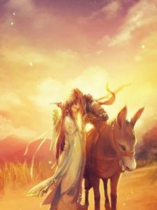 ​耽美小说是什么(原耽女孩是什么意思?)