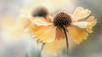 ​两个务必是指什么（两个务必详细介绍）