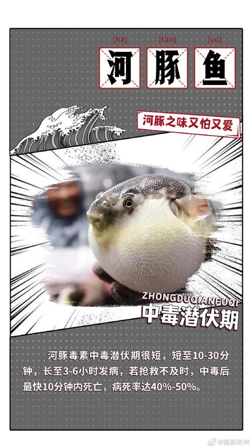 河豚鱼中含的河豚毒素是什么(河豚鱼中含的河豚毒素介绍)
