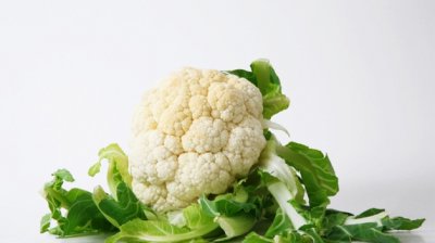 ​野白花菜的功效与作用