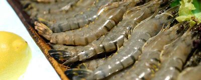 ​白虾的营养价值及营养成分