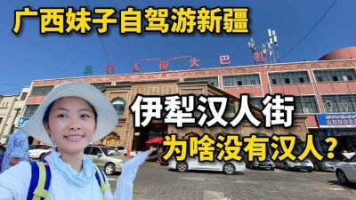 ​为什么新疆汉人越来越少 （为什么新疆汉人少）