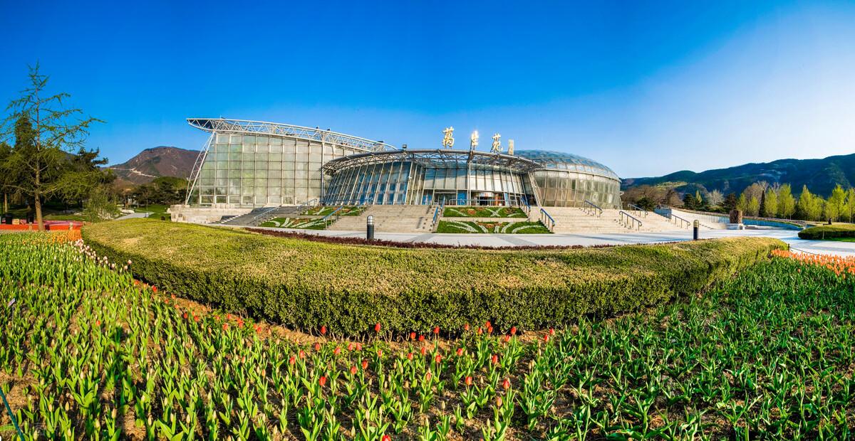 武汉有哪些景点(武汉必去的五大景点)